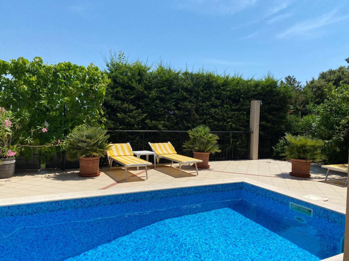 Apartments Villa Viktoria ติวัต ภายนอก รูปภาพ